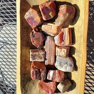 14pieces lightly tumbled AZ rainbow petrified wood